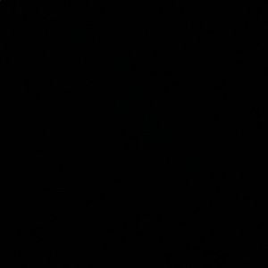 Meet your Posher, Ricky